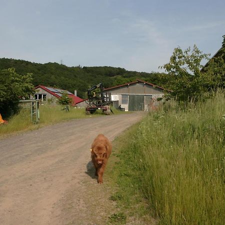 Rech Hof Urlaub Auf Dem Bauernhof Apartamento Schalkenbach Exterior foto