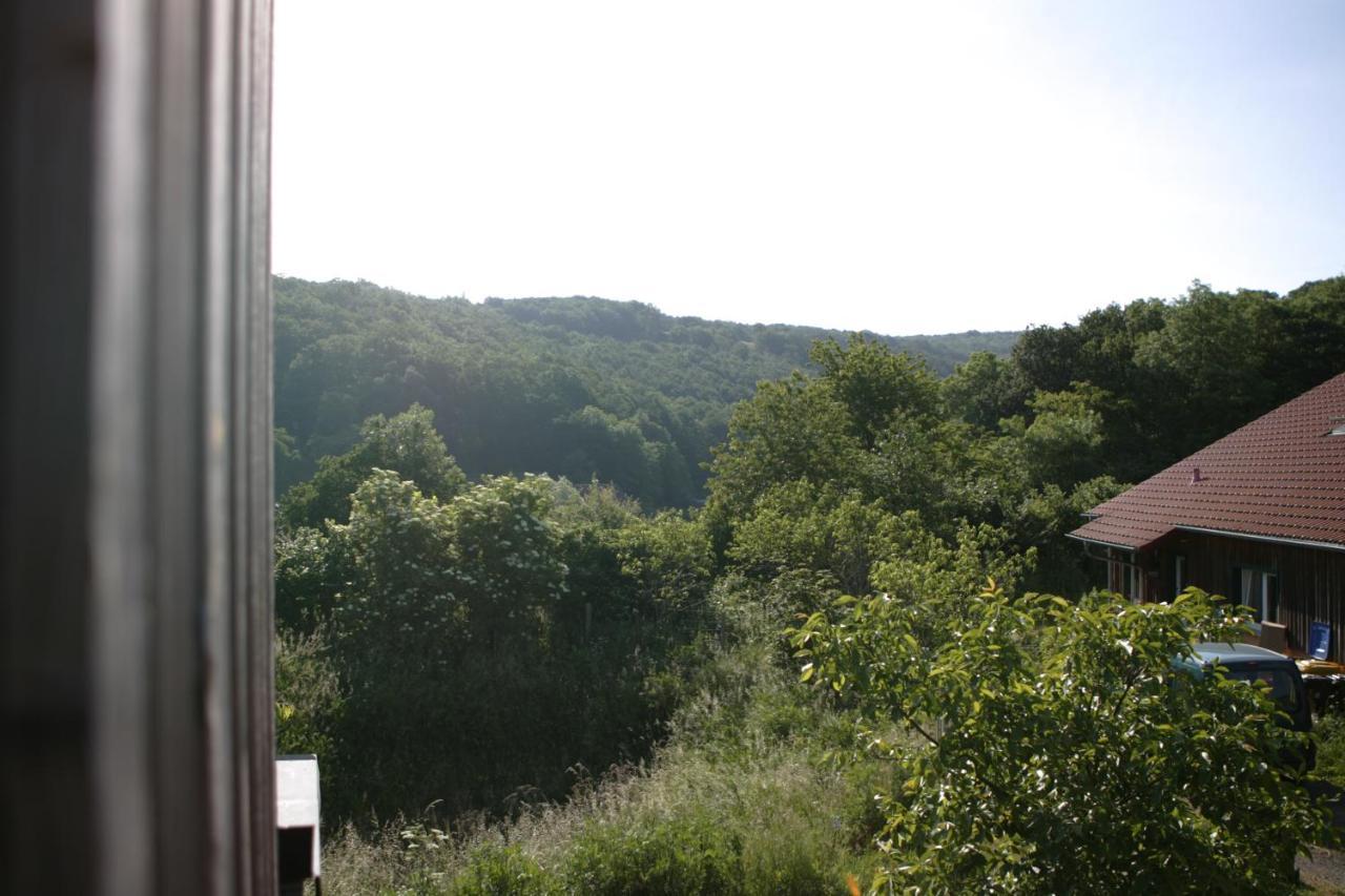 Rech Hof Urlaub Auf Dem Bauernhof Apartamento Schalkenbach Exterior foto