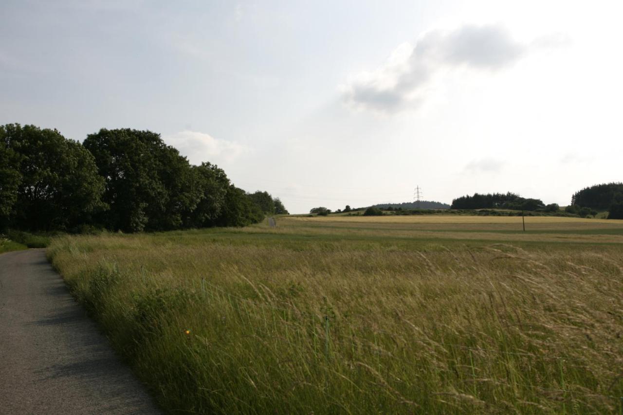 Rech Hof Urlaub Auf Dem Bauernhof Apartamento Schalkenbach Exterior foto