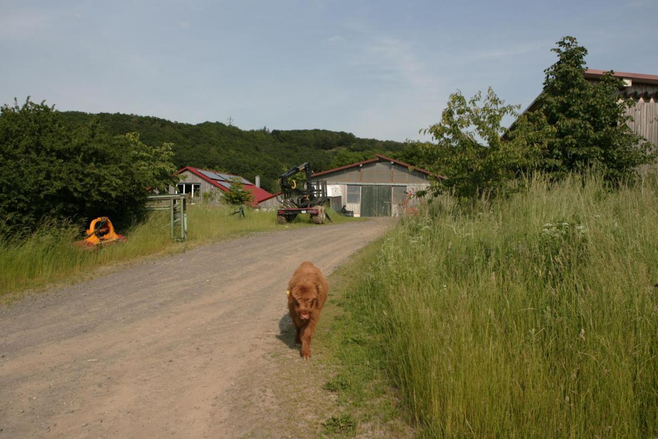 Rech Hof Urlaub Auf Dem Bauernhof Apartamento Schalkenbach Exterior foto