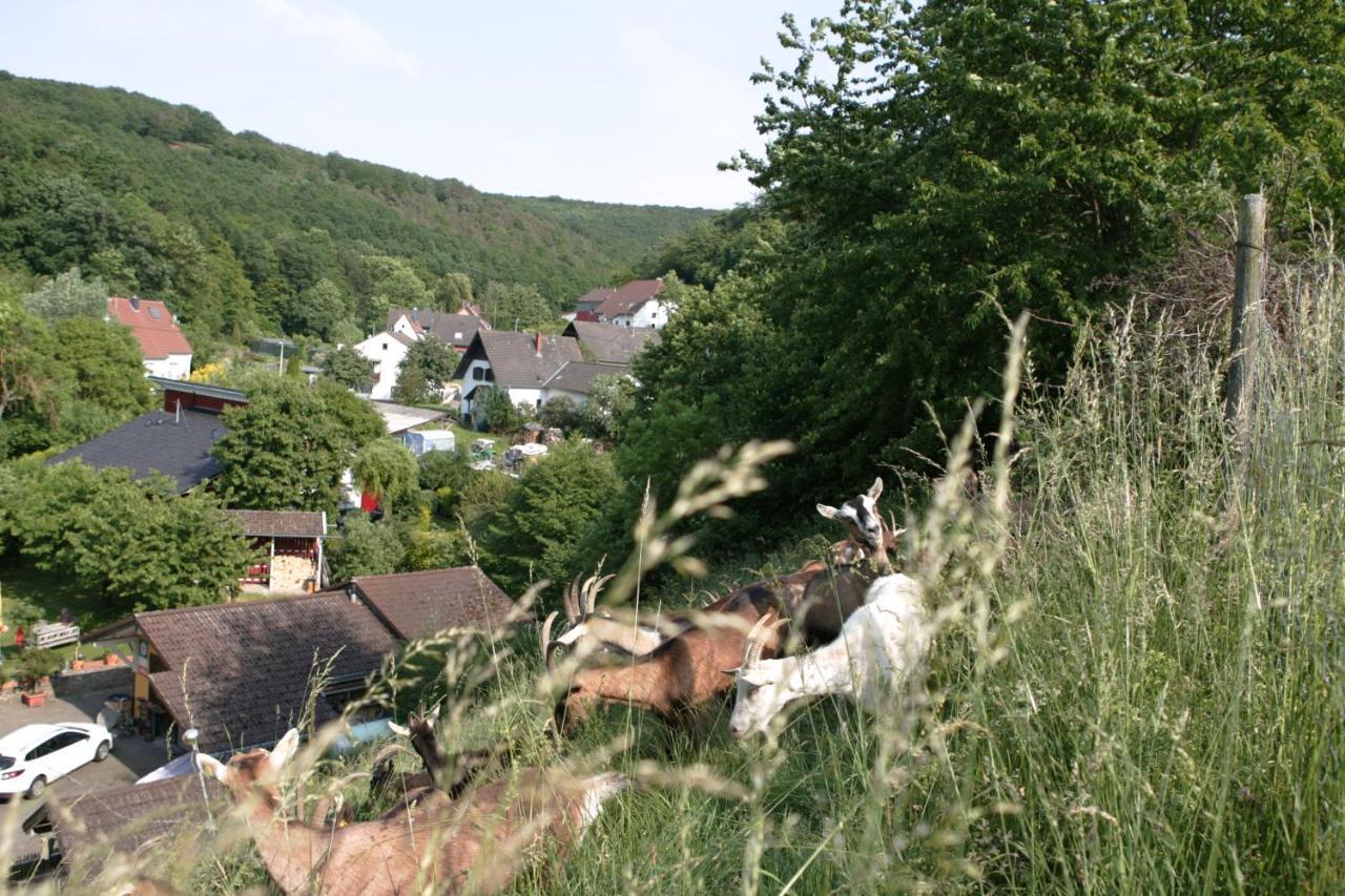 Rech Hof Urlaub Auf Dem Bauernhof Apartamento Schalkenbach Exterior foto