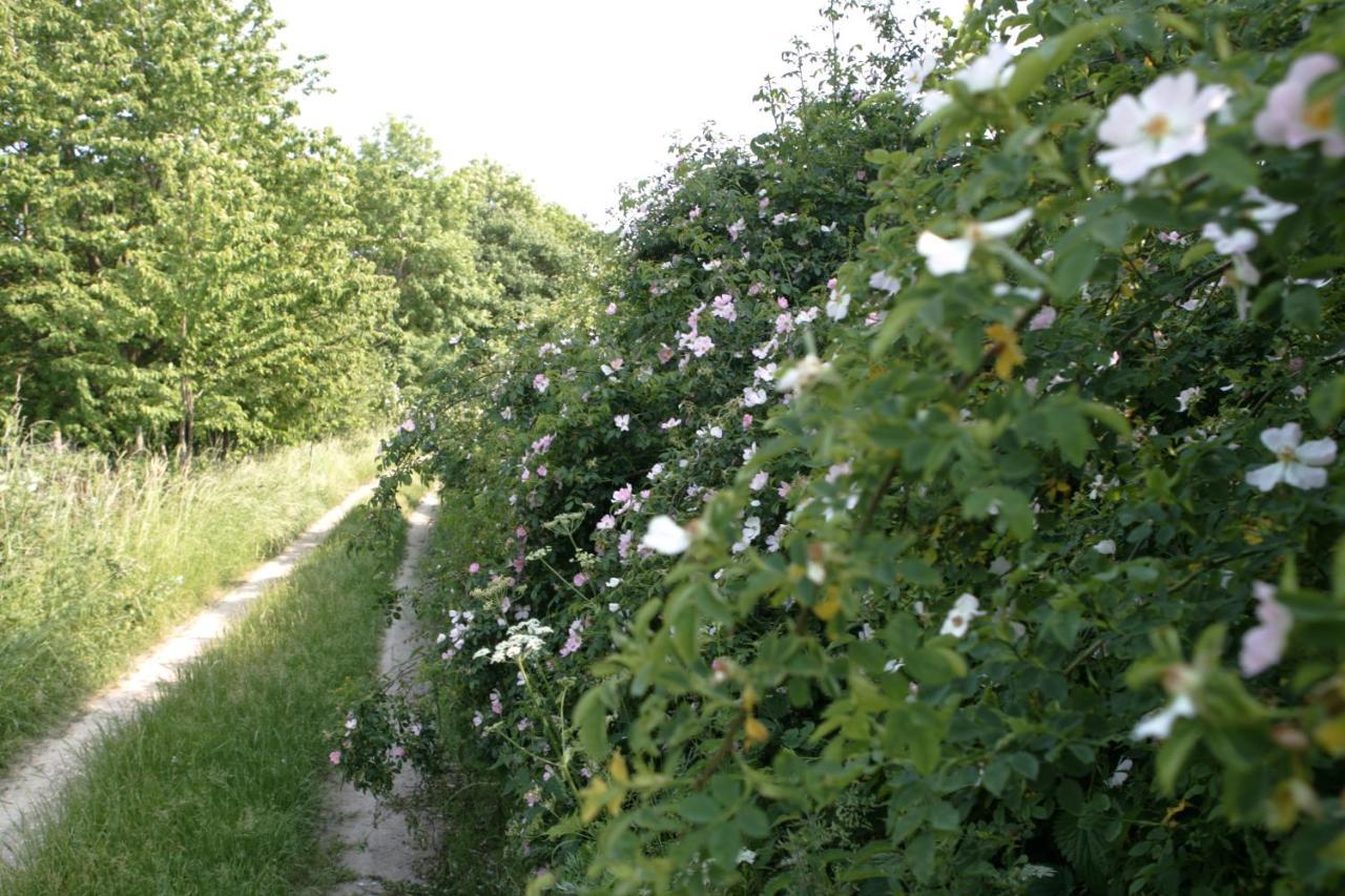Rech Hof Urlaub Auf Dem Bauernhof Apartamento Schalkenbach Exterior foto